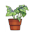 Potted Plant Color PDF