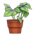 Potted Plant Color PNG