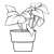 Potted Plant Line PNG