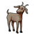Brown Goat Color PDF
