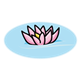 Pink Water Lily floating in water