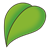 Green Leaf Color PNG