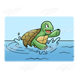 Splashing Turtle