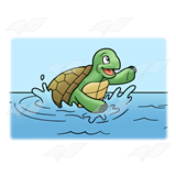 Splashing Turtle