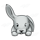 Gray Rabbit Head