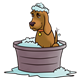 Dog in Tub 