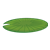 Lily Pad Color PNG
