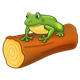Frog on a Log 