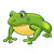 Green and Yellow Frog Color PNG
