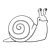 Green Snail Line PNG