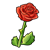 Red Rose Color PNG