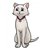 Sitting Gray Cat Color PDF