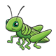 Green Grasshopper with green eyes