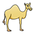 Yellow Camel Color PNG