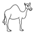 Yellow Camel Line PNG