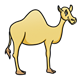 Yellow Camel facing right