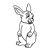 Bunny Front Line PNG
