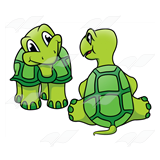 Two Green Turtles