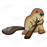 Beaver Gnawing Stick