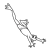 Leaping Frog  Line PNG