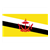 Brunei Flag Color PDF