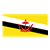 Brunei Flag Color PNG