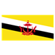 Brunei Flag 