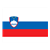 Slovenia Flag Color PDF
