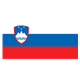 Slovenia Flag 