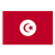 Tunisia Flag Color PDF