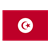 Tunisia Flag Color PNG