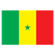 Senegal Flag 