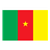 Cameroon Flag Color PDF