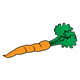 Carrot 1 