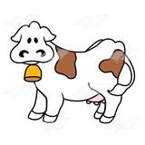 Cow Wearing Bell