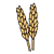 Wheat Stalks Color PNG