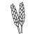 Wheat Stalks Line PNG