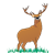 Brown Male Deer Color PNG