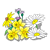 Various Flowers Color PNG