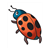 Smiling Ladybug Color PDF