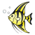 Angelfish Color PNG