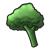 Broccoli Floret Color PNG
