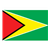 Guyana Flag Color PDF