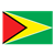 Guyana Flag Color PNG