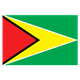 Guyana Flag 