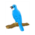 Bluebird Color PDF