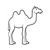 Two-Humped Camel Line PDF