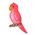 Red Parakeet Color PDF