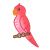 Red Parakeet Color PNG