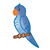 Blue Parakeet Color PDF